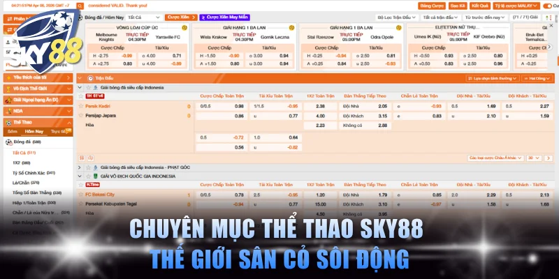 Chuyên mục thể thao SKY88 thế giới sân cỏ sôi động
